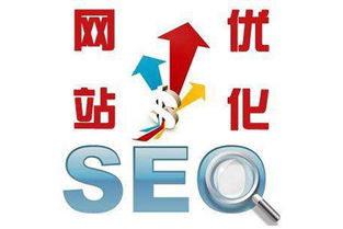 seo教程网站优化，seo网站优化是什么-